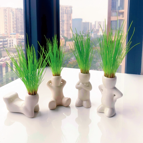 2026包发芽四季可种解压小盆栽