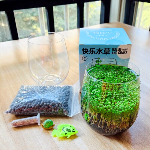 小花农正品2026年新款桌面水培