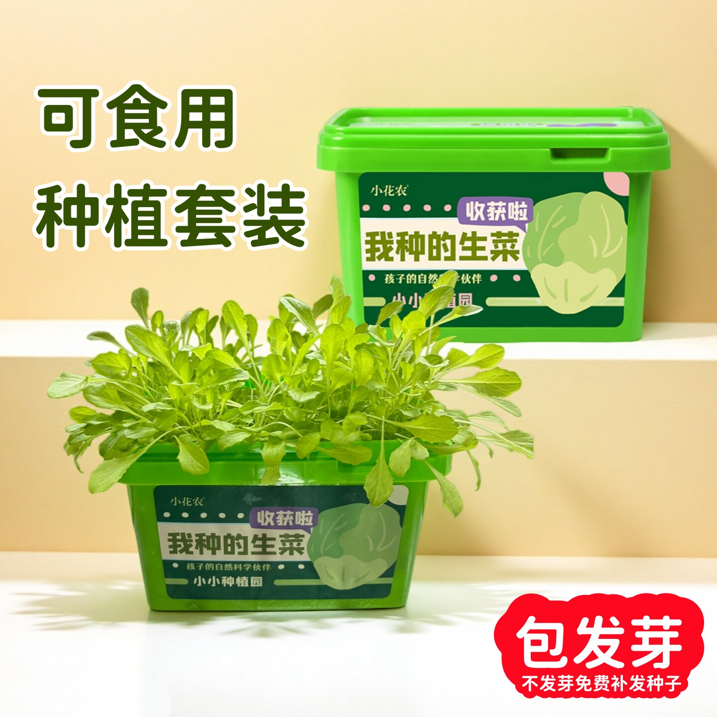 小花农儿童种植小盆栽植物套装菜种子生菜草莓可食用阳台种菜观察
