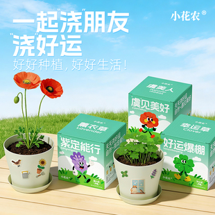 小花农儿童种植小盆栽祝福盆栽幼儿园小朋友礼物种花种子自种DIY