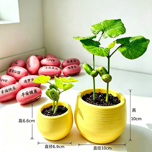 开学小礼物魔豆卡片礼物