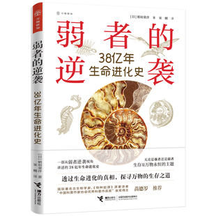弱者的逆袭 38亿年生命进化史 稻垣荣洋万物新知丛书系列第四4册科普百科物理学青少年万物简史烹饪宇宙