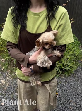 PLANT ALE 2025春季新款韩系简约拼色假两件长袖T恤女宽松上衣