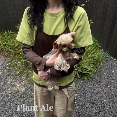 PLANT ALE 2025春季新款韩系简约拼色假两件长袖T恤女宽松上衣