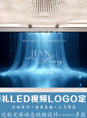 蓝色银河薄纱婚礼LED动态图LOGO定制光纤灯瀑布动态视频背景设计