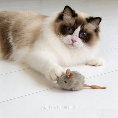 猫咪玩具叫叫鼠轻触发声解闷自嗨