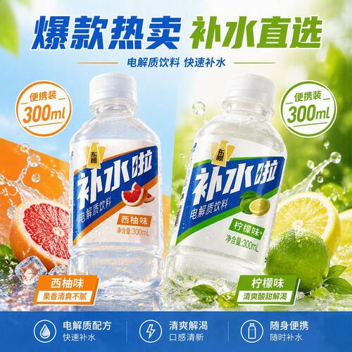 东鹏补水啦300ml*12瓶