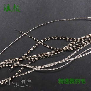 进口蓑羽毛 格里菲斯衰羽蚂蚁飞蝇钩绑制羽毛精选A级进口公鸡蓑羽