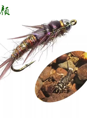 钨头石蝇若虫 鳟鱼冷水鱼快速沉水假饵飞蝇钩 Stone fly nymph