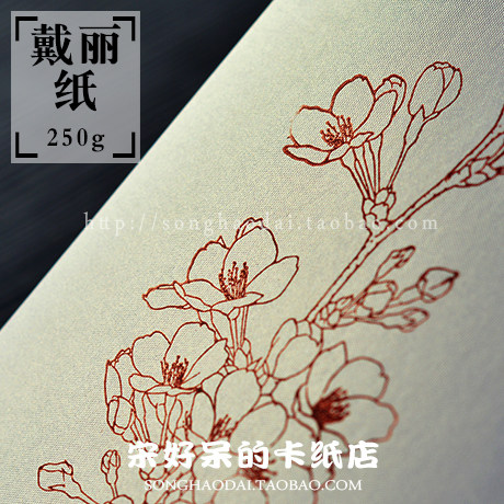 宋好呆戴丽卡纸橡皮章手明信片