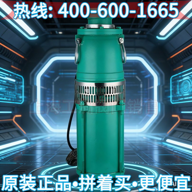潜水泵人民 自吸泵上海人民 家水泵