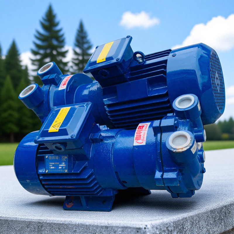 把水抽进z半导体用zbv水环xzd鞍山w型w4v法铸造w3vsp真空泵 闽