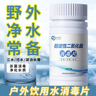 饮用水消毒片专用野外生存净水片自来水井水消毒粉漂白食用水质