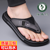 新款 透气防滑休闲沙滩鞋 凉鞋 真皮夹趾人字拖鞋 潮流 男款 啄木鸟夏季