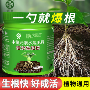 植物快速生根粉扦插移栽专用强力生根剂花卉植物通用型水溶肥料
