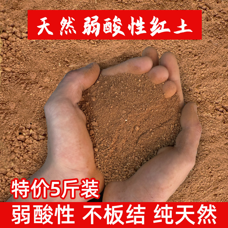 天然红土果树专用生根保果图片