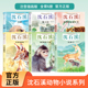 彩绘注音版 现货 全套6册沈石溪动物小说系列全集 红奶羊象王泪天命一二三四五六年级小学生课外阅读正版 虎女蒲公英 书籍我 正版
