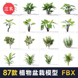 北欧盆栽绿植花盆花坛植物模型blender/FBX/3D写实建模设计素材