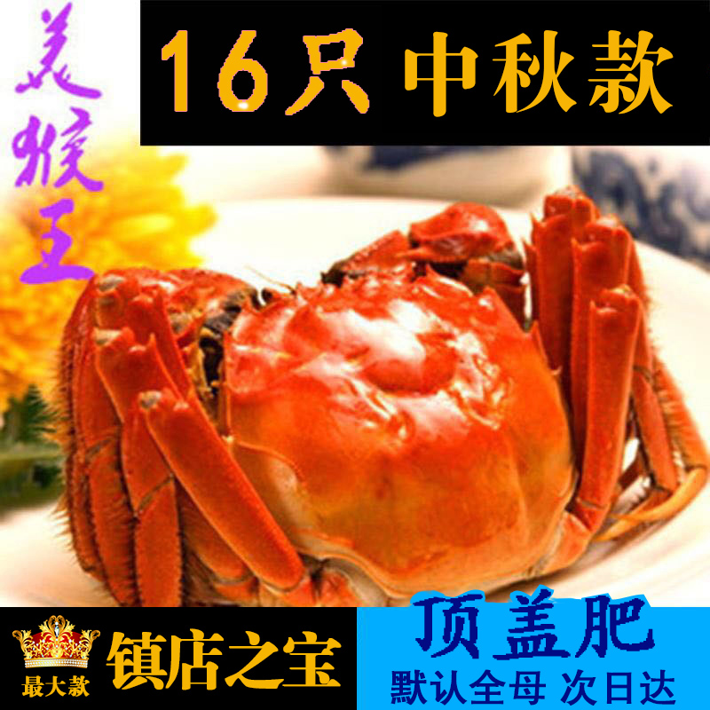 【中秋款】16只特大盘锦河蟹 全母2.3-2.0两 鲜活稻田蟹礼盒装
