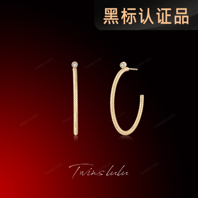 TWINSLULU高级感素款圈圈耳环