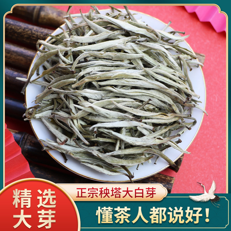 云南白茶秧塔大白芽春茶云白毫