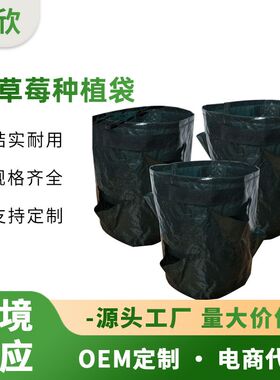 亚马逊跨境多口种植袋