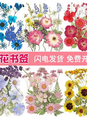 永生花滴胶书签手工标本