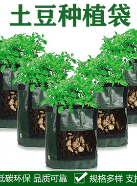 亚马逊春季种植袋土豆蔬菜栽培带