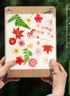 压花板干花手工材料包