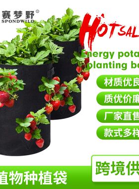 现货落地式无纺布草莓种植袋 多口黑色草莓袋 园艺3加仑8口种植袋