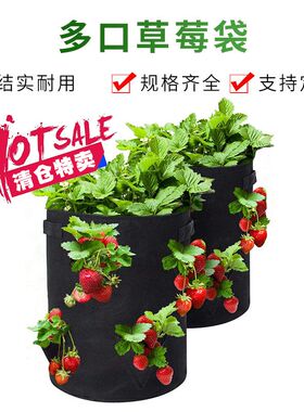 亚马逊清仓多孔毛毡草莓种植袋园