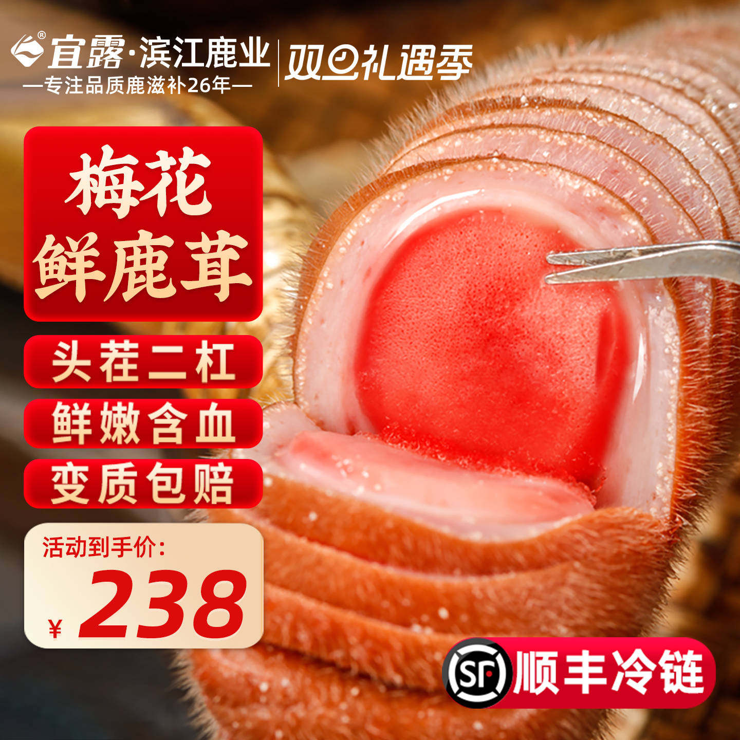 【鲜嫩含血】宜露梅花鹿鹿茸整根