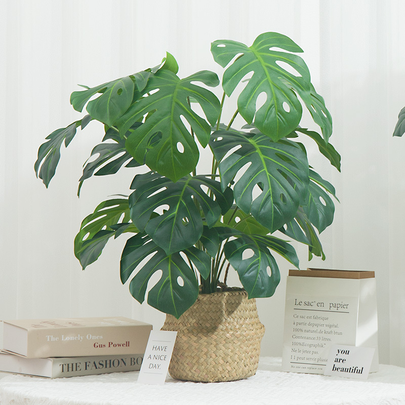 仿真居家广州龟背带盆送花蓝