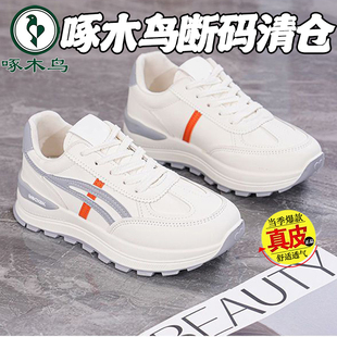 百搭皮面防水软底防滑老爹鞋 女春夏新款 清仓真皮休闲鞋 啄木鸟断码