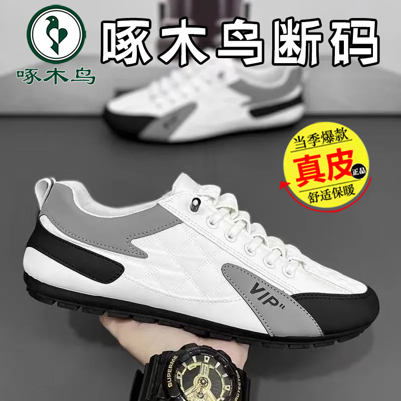 啄木鸟运动鞋男士新款透气舒适休闲帆布鞋轻便时尚潮流平底板鞋tb