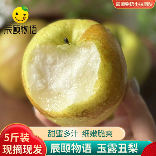 辰颐物语玉露丑梨梨子时令现摘