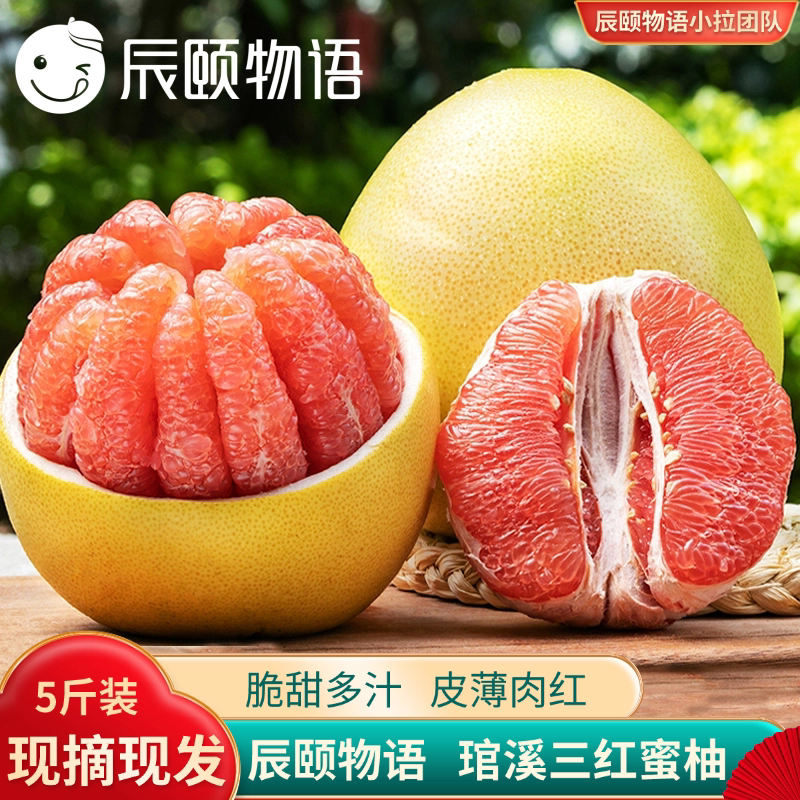 辰颐物语三红蜜柚福建红心柚子