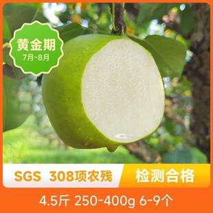 辰颐物语砀山翠玉梨应季时令脆甜梨子青皮翠冠梨蜜梨现摘水果直发