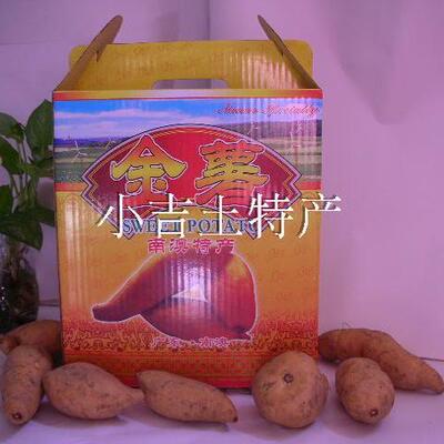 南澳海岛金薯新收地瓜蕃薯沙地种植金黄肉软糯香甜包邮农民自家种