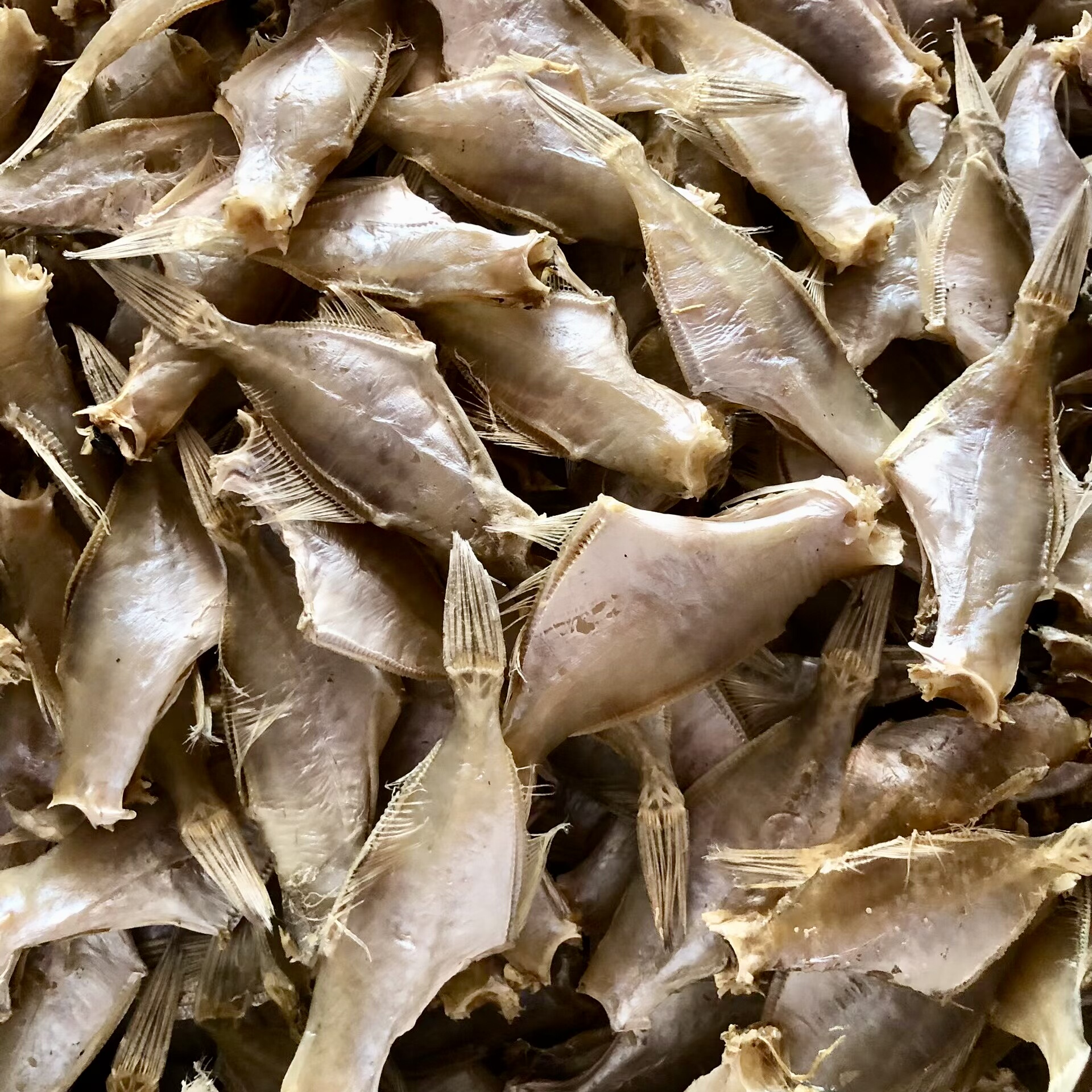 南澳岛生晒扒皮鱼干南澳特产海鱼干货迪仔鱼野生纯天然日晒500克