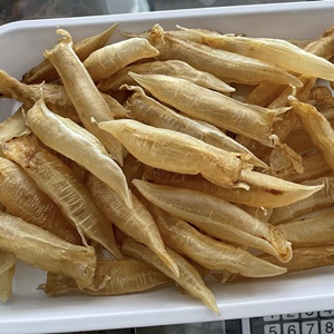 私藏陈年金龙胶筒老胶金龙鱼胶花胶干货产后术后滋补品强身鱼泡胶