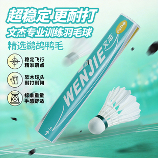 正品WENJIE文杰106羽毛球耐打飞行稳定训练比赛用球12只装