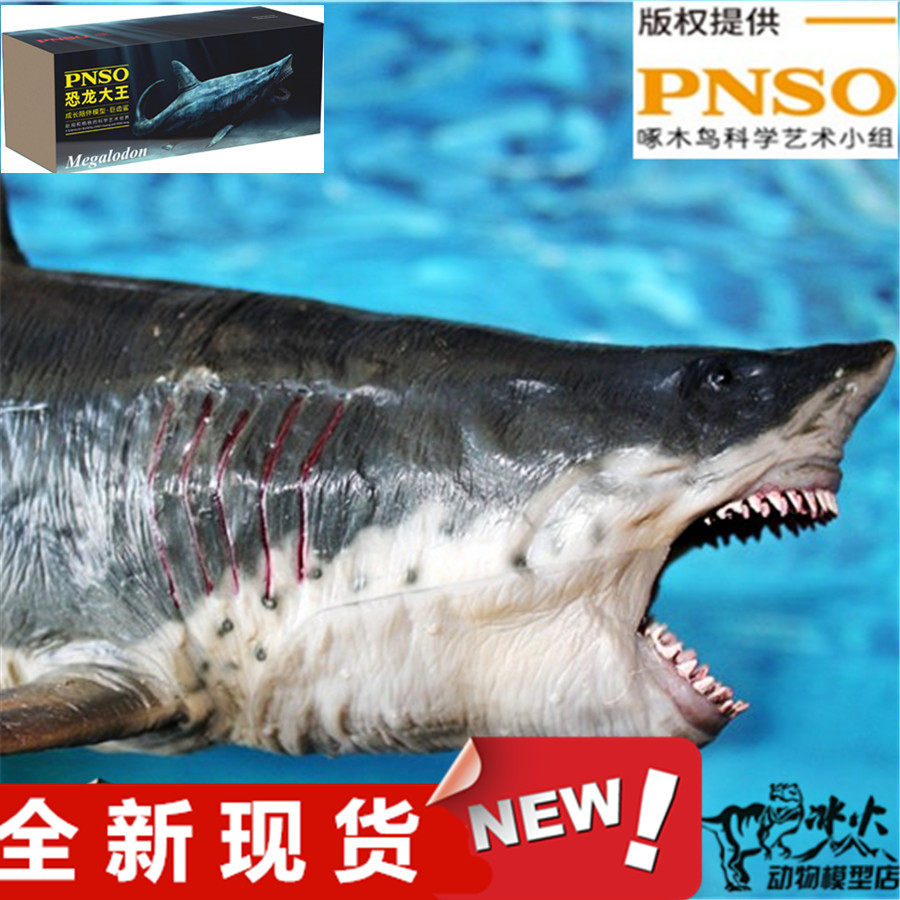 pnso 恐龙大王 玩具模型 巨齿鲨 海洋动物鲨鱼全新礼盒装现货