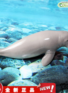 COLLECTA我你他 2016野生动物模型玩具 儒艮88766 全新现货