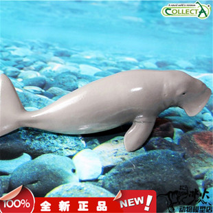 COLLECTA我你他 2016野生动物模型玩具 儒艮88766 全新现货