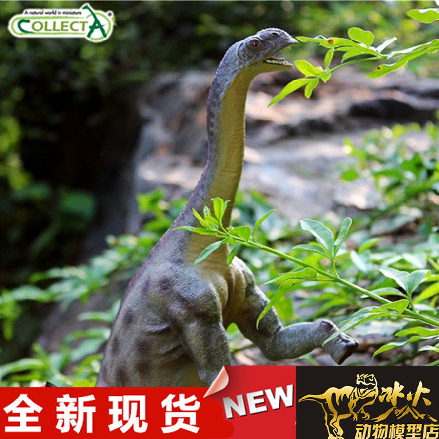 COLLECTA我你他 野生动物恐龙模型玩具 约巴龙88395 全新现货