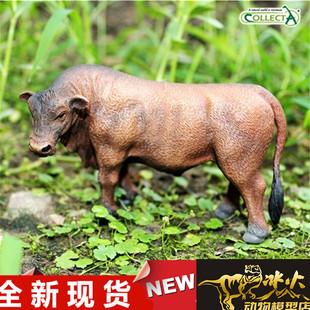 COLLECTA我你他动物模型玩具 红安格斯牛 88508 全新现货