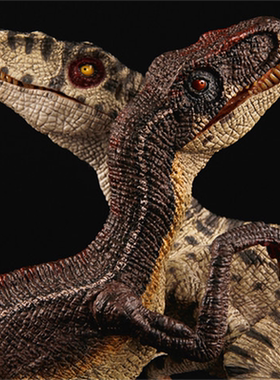 REBOR侏罗纪恐龙 奔跑迅猛龙夫妇版成人孩子仿真模型玩具经典现货