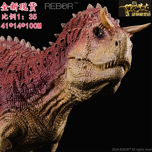 REBOR侏罗纪恐龙 现货 食肉牛龙牛暴龙绯红成人大孩子模型玩具热卖