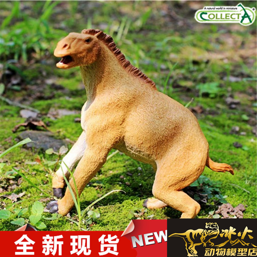 我你他恐龙模型玩具动物全新现货